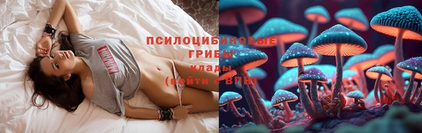 ГАЛЛЮЦИНОГЕННЫЕ ГРИБЫ Бородино