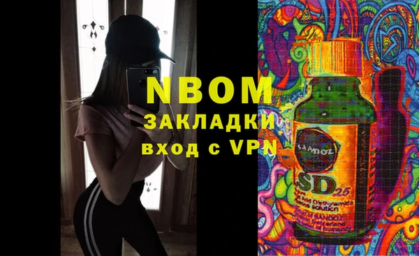 ГАЛЛЮЦИНОГЕННЫЕ ГРИБЫ Бородино