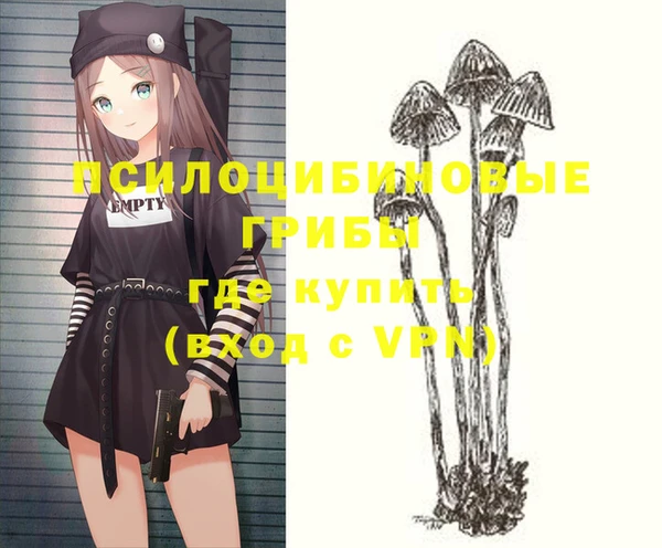 первитин Бронницы