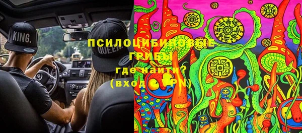 ГАЛЛЮЦИНОГЕННЫЕ ГРИБЫ Бородино