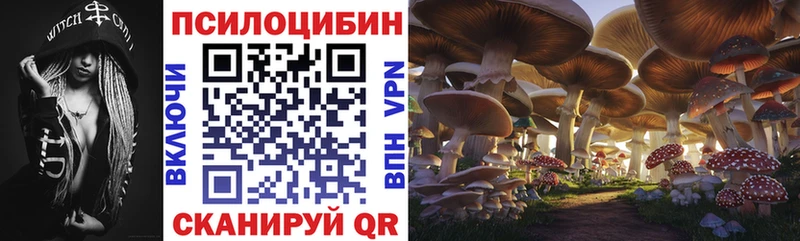Галлюциногенные грибы Psilocybine cubensis Буйнакск